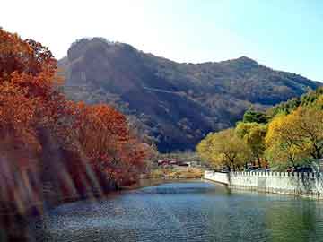 新澳天天开奖资料大全旅游团，氧化铜价格